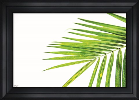 Framed Leaf Study III Print