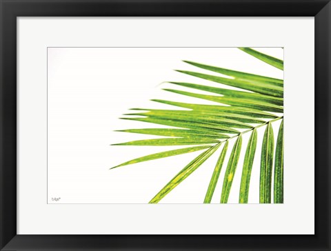 Framed Leaf Study III Print