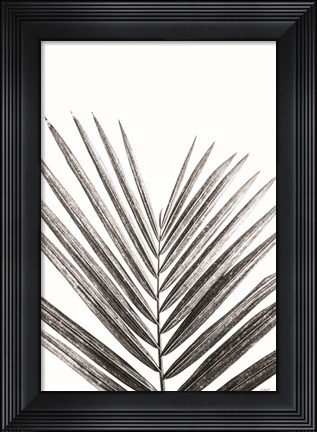 Framed Leaf Study V Print
