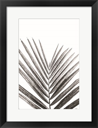 Framed Leaf Study V Print