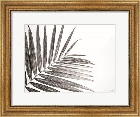 Framed Leaf Study VI Print