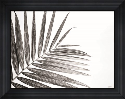 Framed Leaf Study VI Print