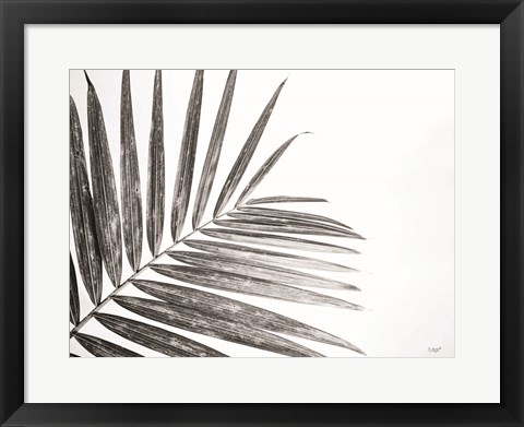 Framed Leaf Study VI Print