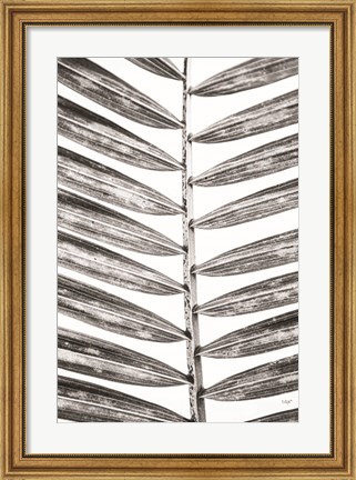 Framed Leaf Study VII Print