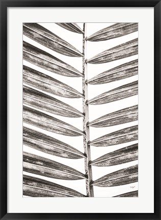 Framed Leaf Study VII Print