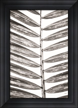 Framed Leaf Study VII Print
