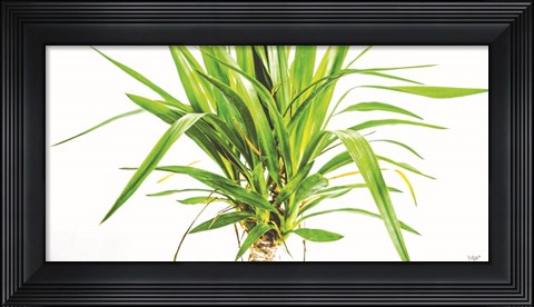 Framed Leafy Days Print