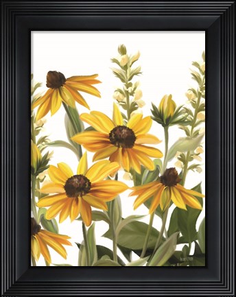 Framed Summer Susans Print