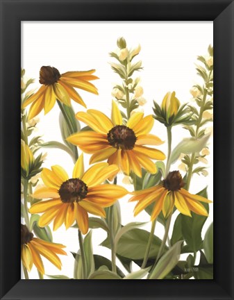 Framed Summer Susans Print