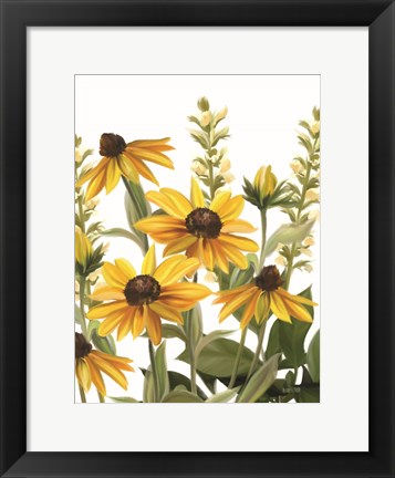 Framed Summer Susans Print