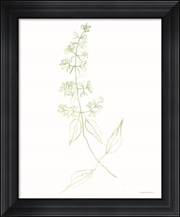 Framed Sway Print