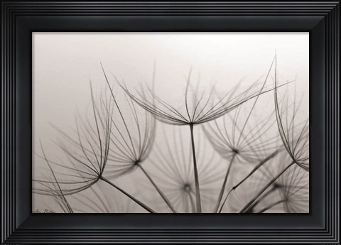 Framed Love is a Delicate Flower Print