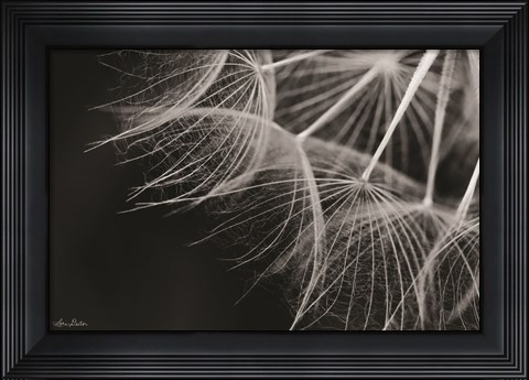 Framed Delicate Beauty Print