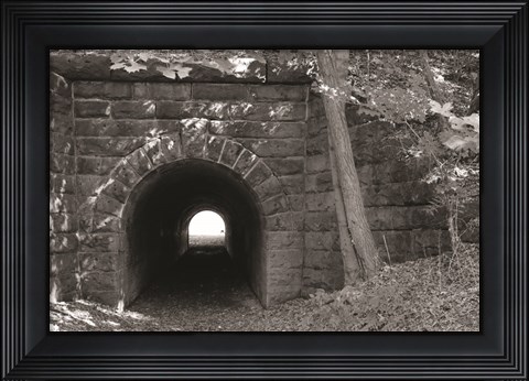 Framed Juniata Tunnel Print