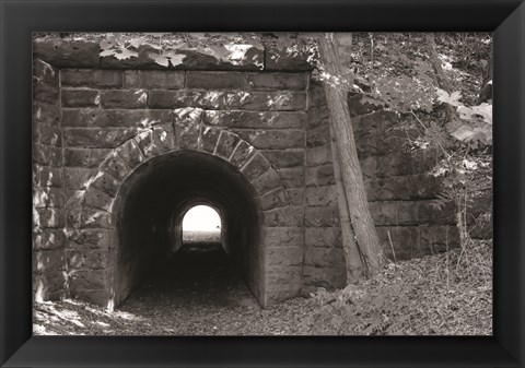 Framed Juniata Tunnel Print