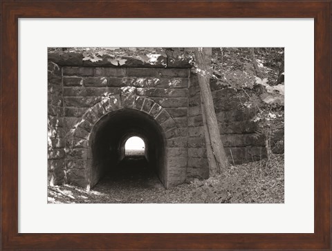 Framed Juniata Tunnel Print