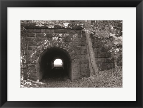 Framed Juniata Tunnel Print