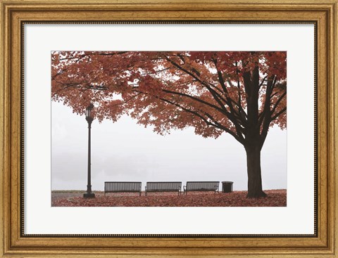 Framed Place to Dream Print