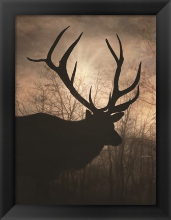 Framed Elk Sunrise I Print