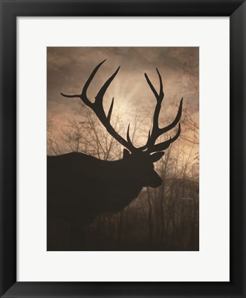 Framed Elk Sunrise I Print