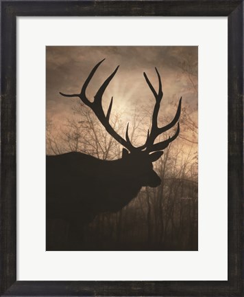 Framed Elk Sunrise I Print