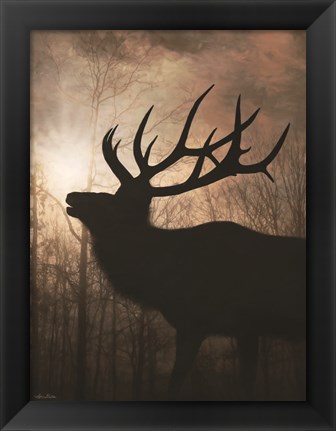 Framed Elk Sunrise II Print