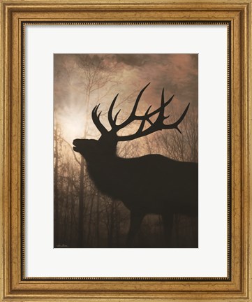 Framed Elk Sunrise II Print