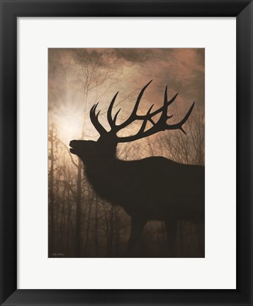 Framed Elk Sunrise II Print