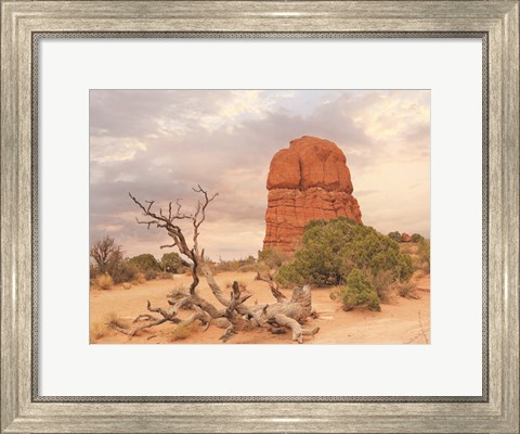 Framed Dusty Desert I Print