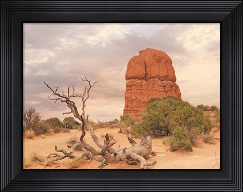 Framed Dusty Desert I Print