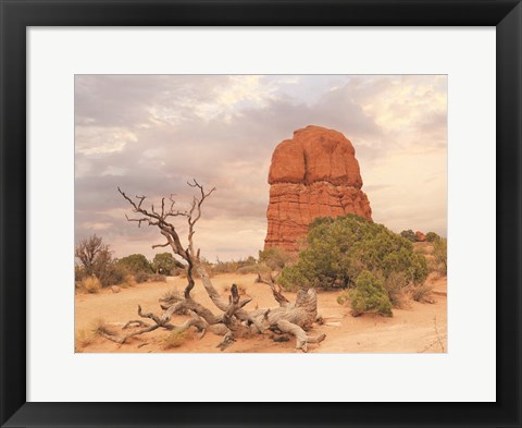 Framed Dusty Desert I Print