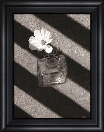 Framed Cosmos and Shadows Print