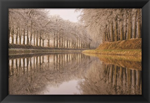 Framed Frosty Reflections Print