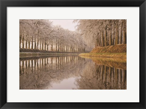 Framed Frosty Reflections Print