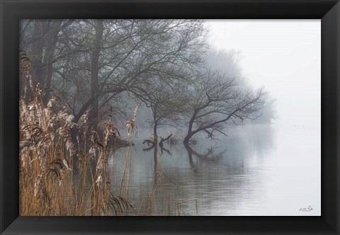 Framed In the Swamps Print