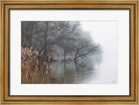 Framed In the Swamps Print