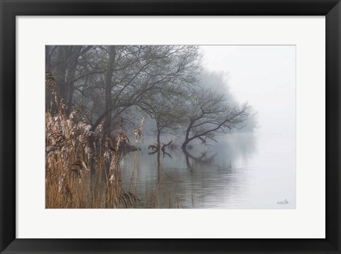 Framed In the Swamps Print