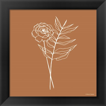 Framed White Floral Line Drawing Print