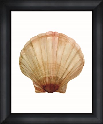 Framed Neutral Shell Collection 2 Print