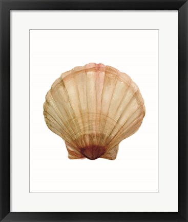 Framed Neutral Shell Collection 2 Print