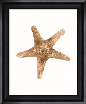 Framed Neutral Shell Collection 3 Print