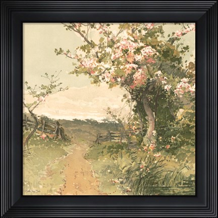 Framed Country Pond 5 Print