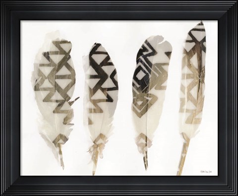 Framed Feathers 2 Print
