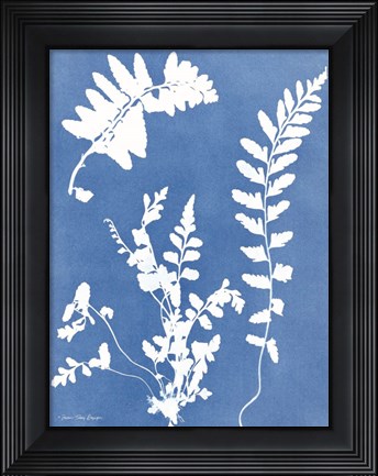 Framed Blue Botanical II Print