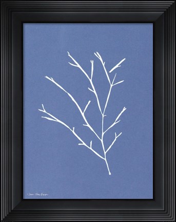 Framed Blue Botanical III Print