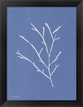 Framed Blue Botanical III Print