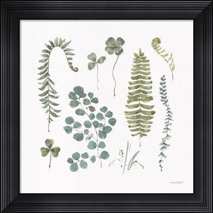 Framed Fern Study 02 Print