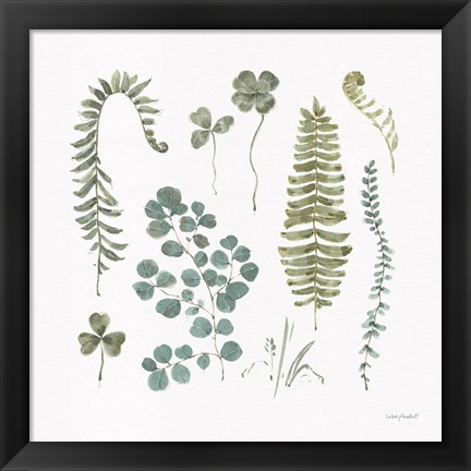 Framed Fern Study 02 Print