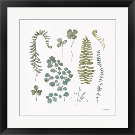Framed Fern Study 02 Print