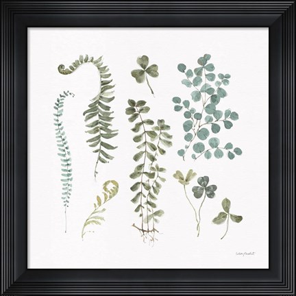 Framed Fern Study 03 Print